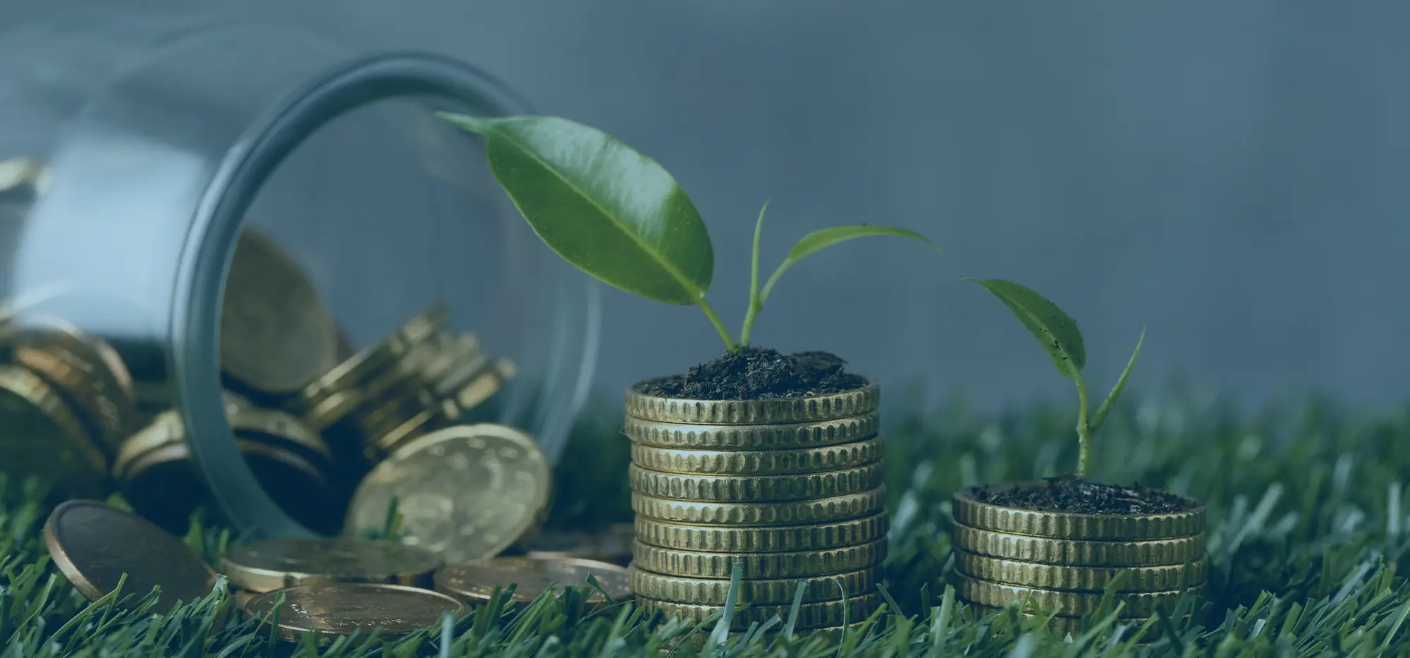 Reserva de emergência: saiba o que é e como criar a sua