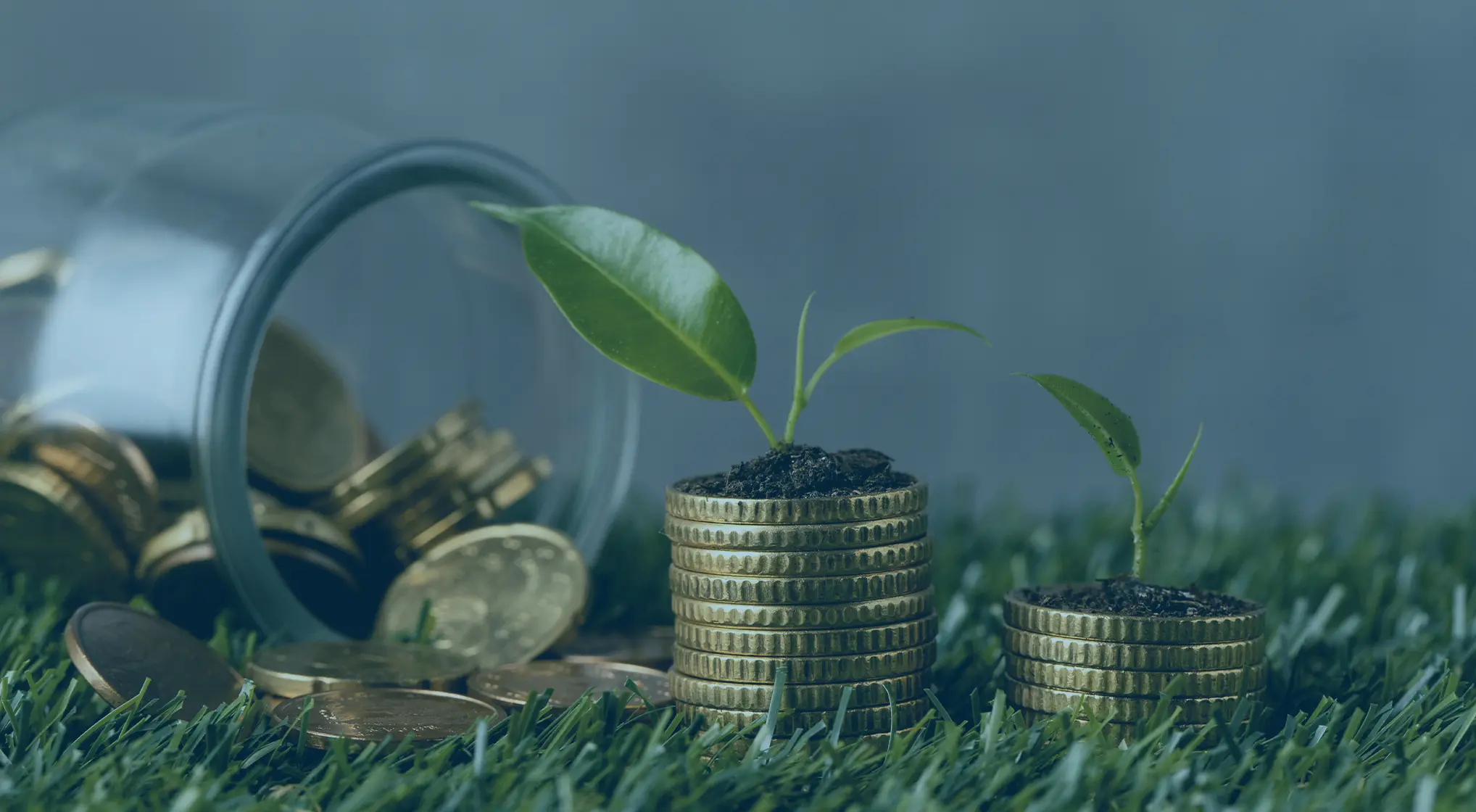 Reserva de emergência: saiba o que é e como criar a sua