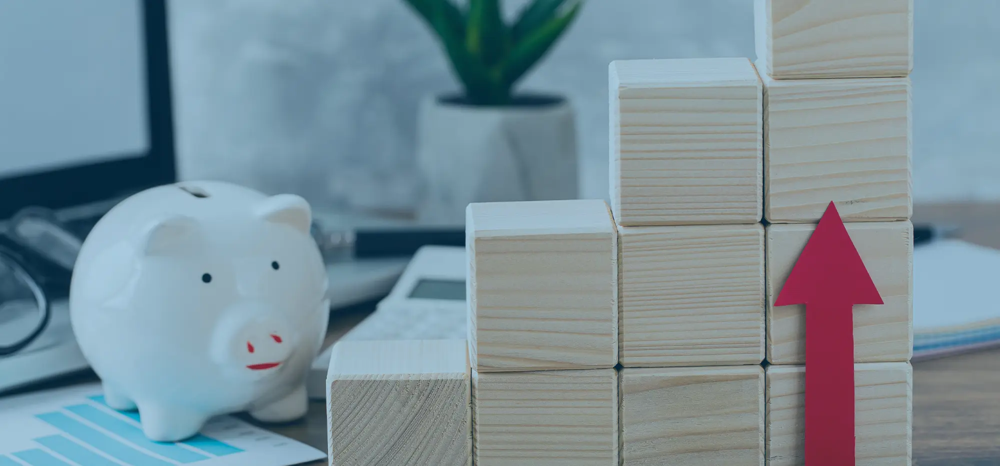 Como está o nível de Educação Financeira dos brasileiros?