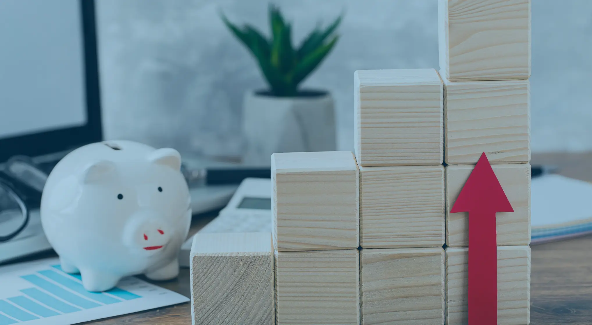 Como está o nível de Educação Financeira dos brasileiros?