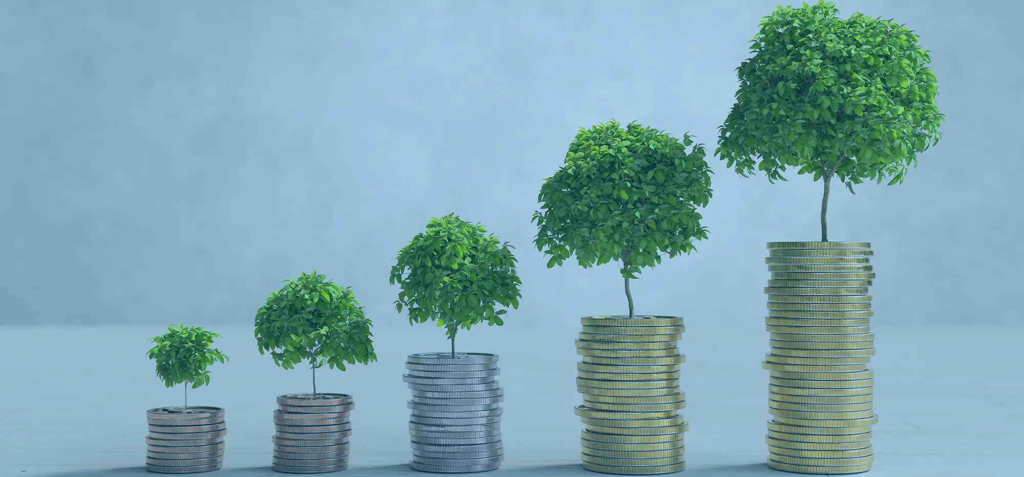 Tudo o que você precisa saber para começar a investir