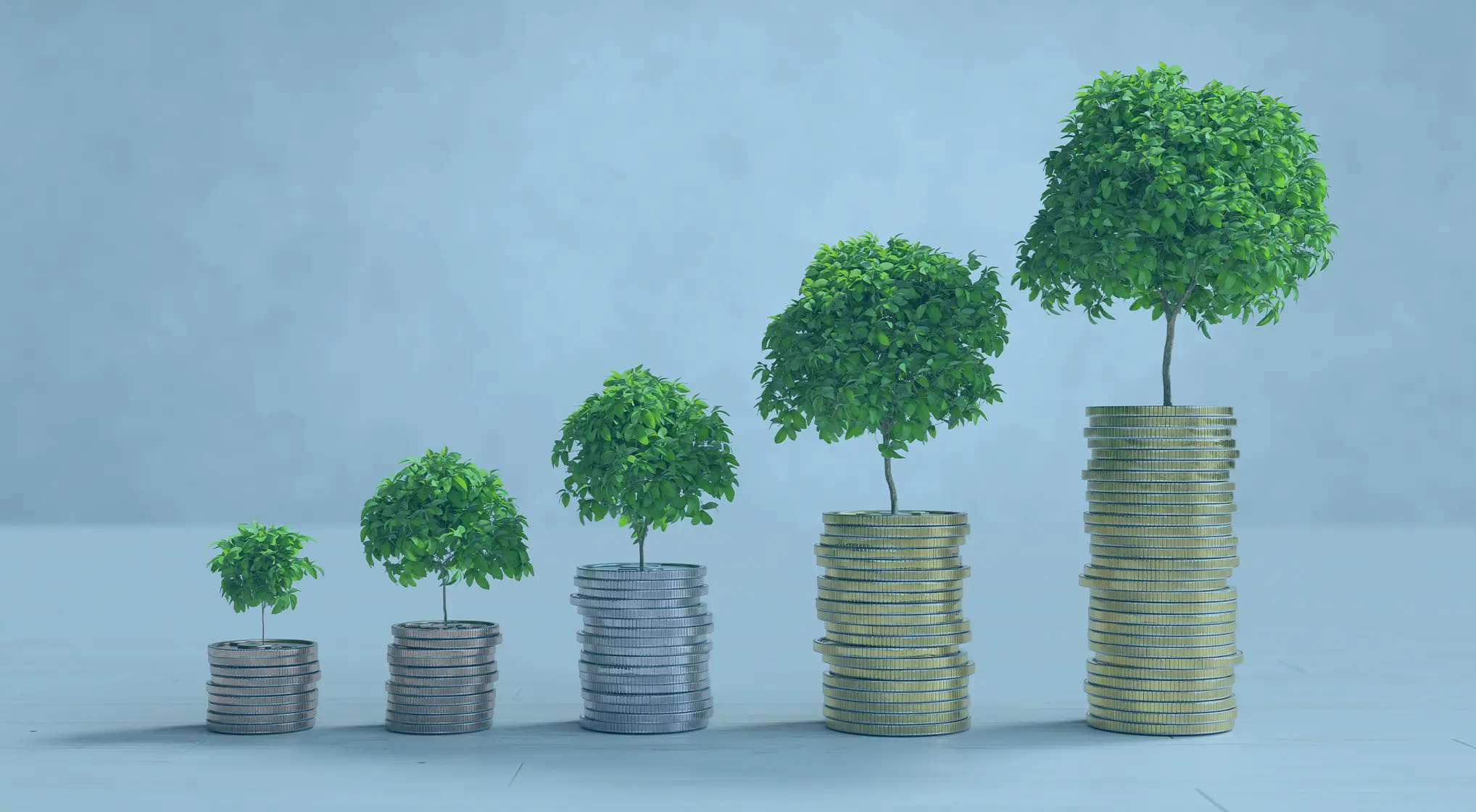 Tudo o que você precisa saber para começar a investir