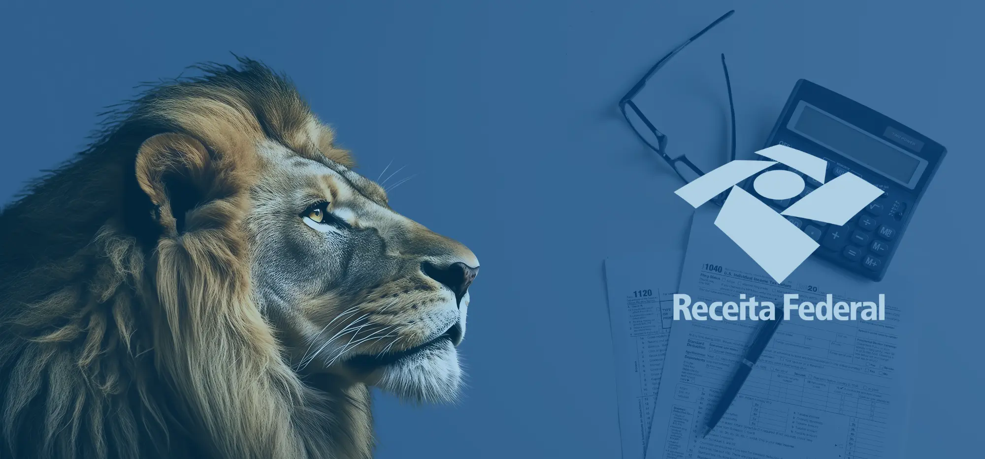 Evite erros e aumente a restituição do Imposto de Renda 2024